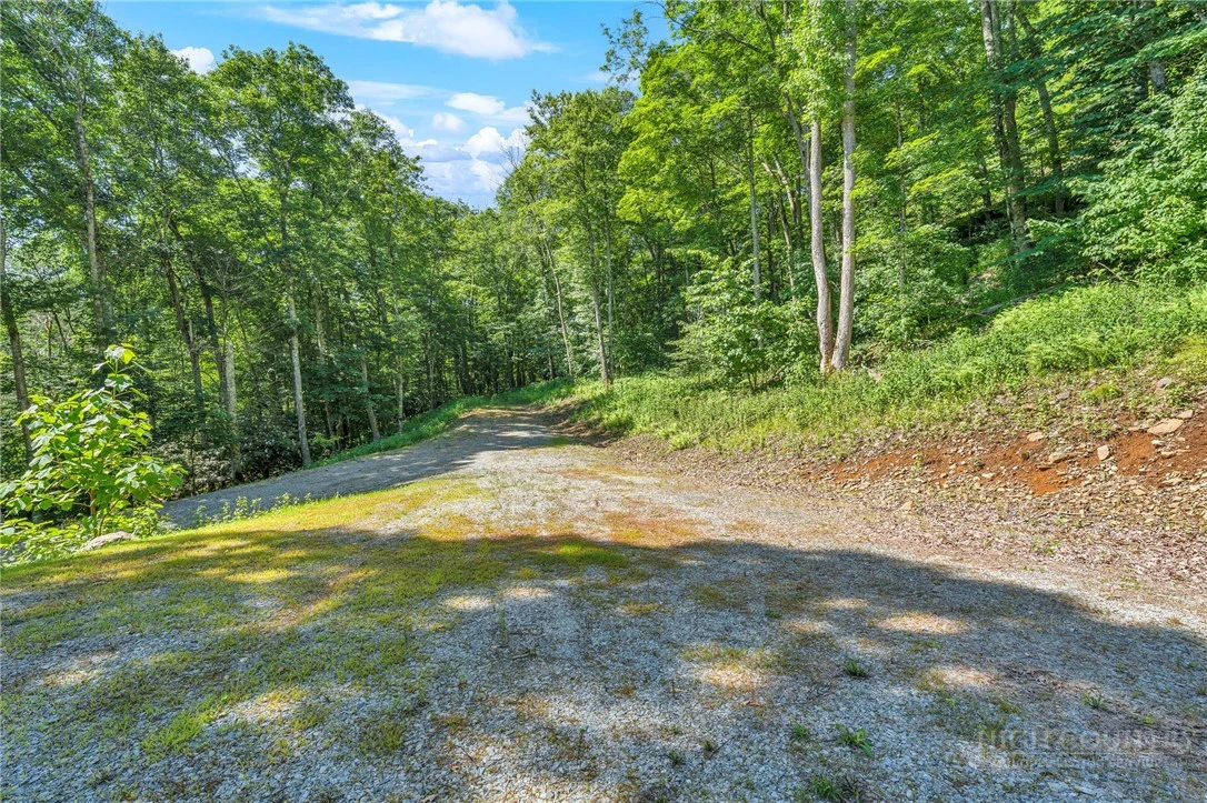 Image number 10 for the current listing