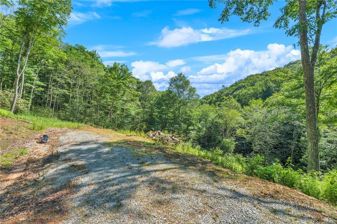 Image number 13 for the current listing