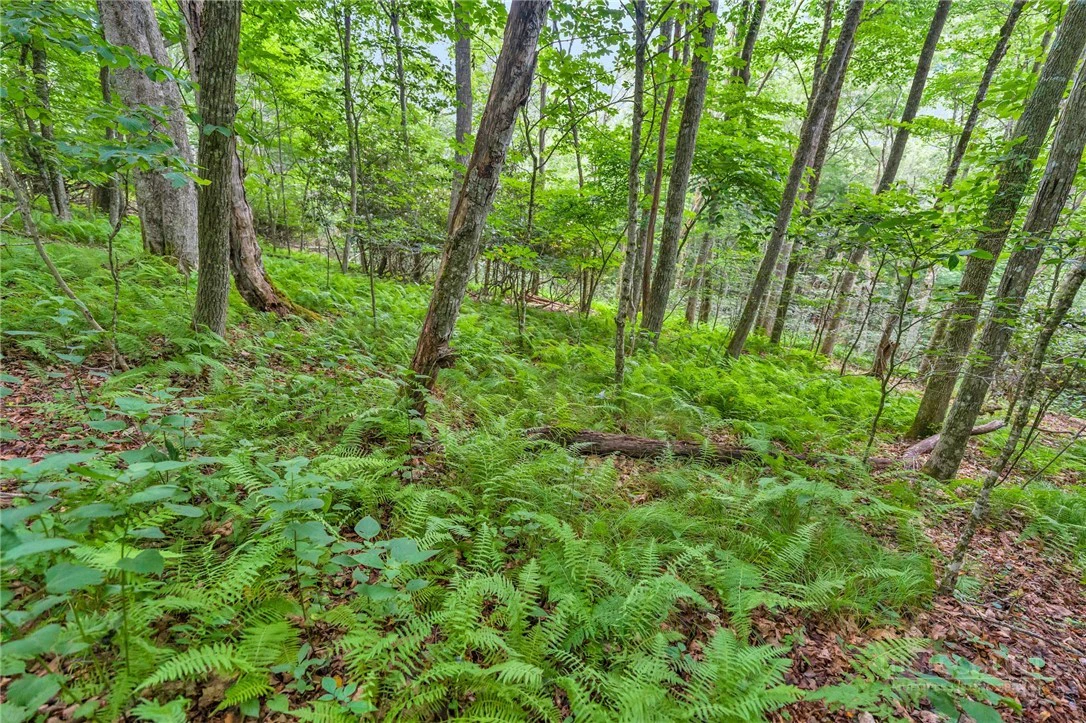 Image number 5 for the current listing