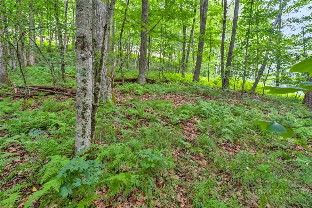 Image number 6 for the current listing