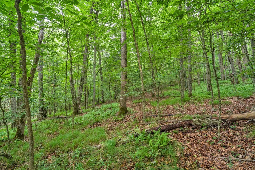 Image number 15 for the current listing