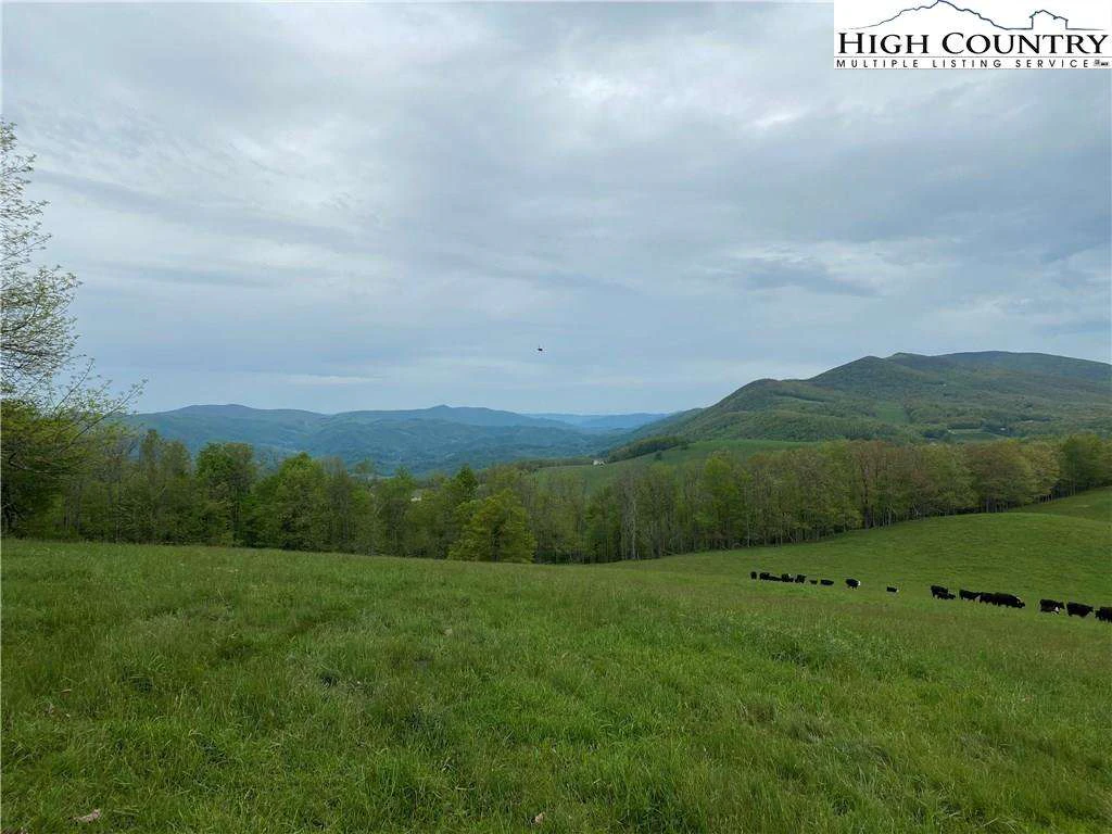 Image number 1 for the current listing