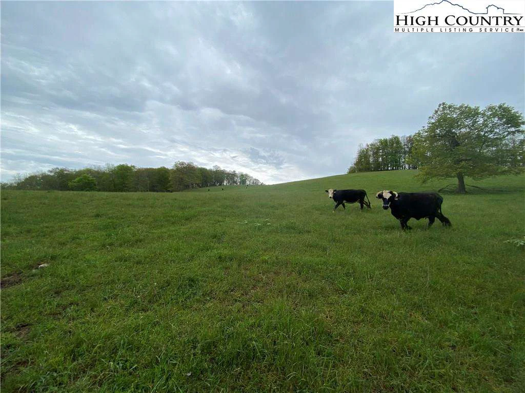 Image number 13 for the current listing
