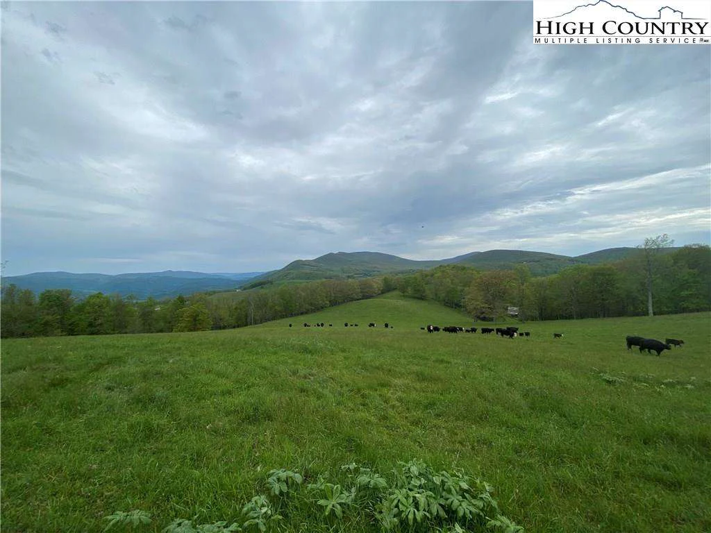 Image number 3 for the current listing