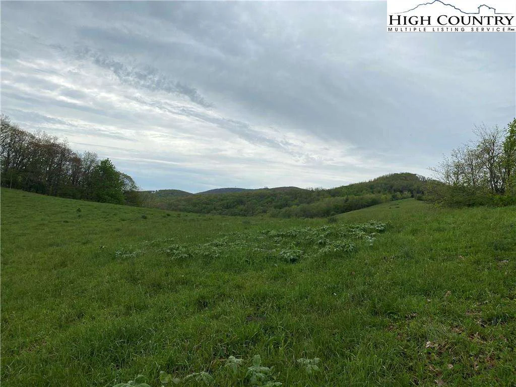 Image number 4 for the current listing