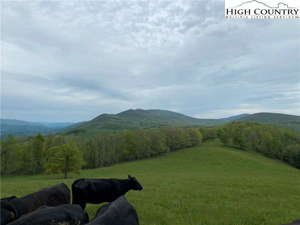 Image number 7 for the current listing
