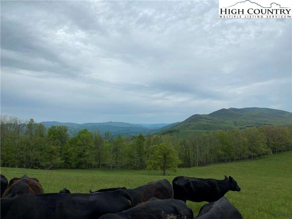 Image number 8 for the current listing