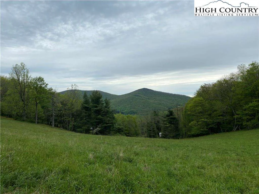 Image number 9 for the current listing