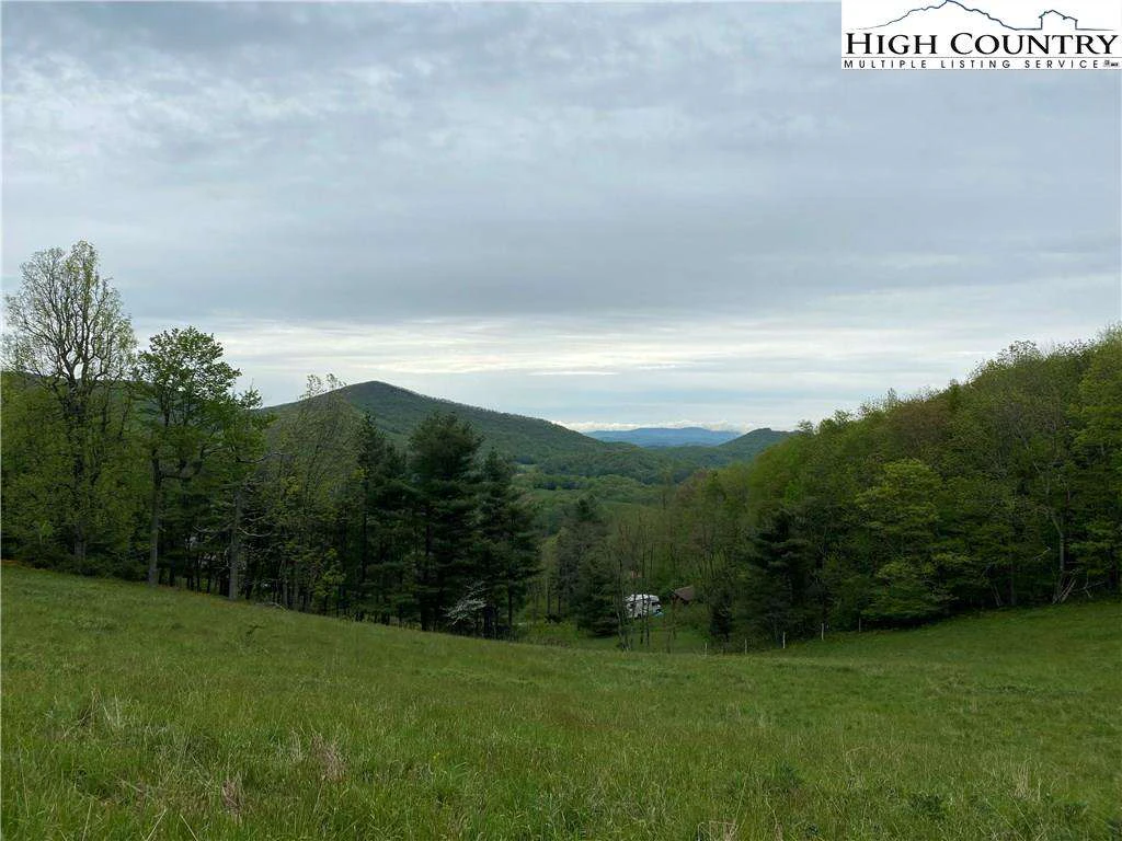 Image number 10 for the current listing