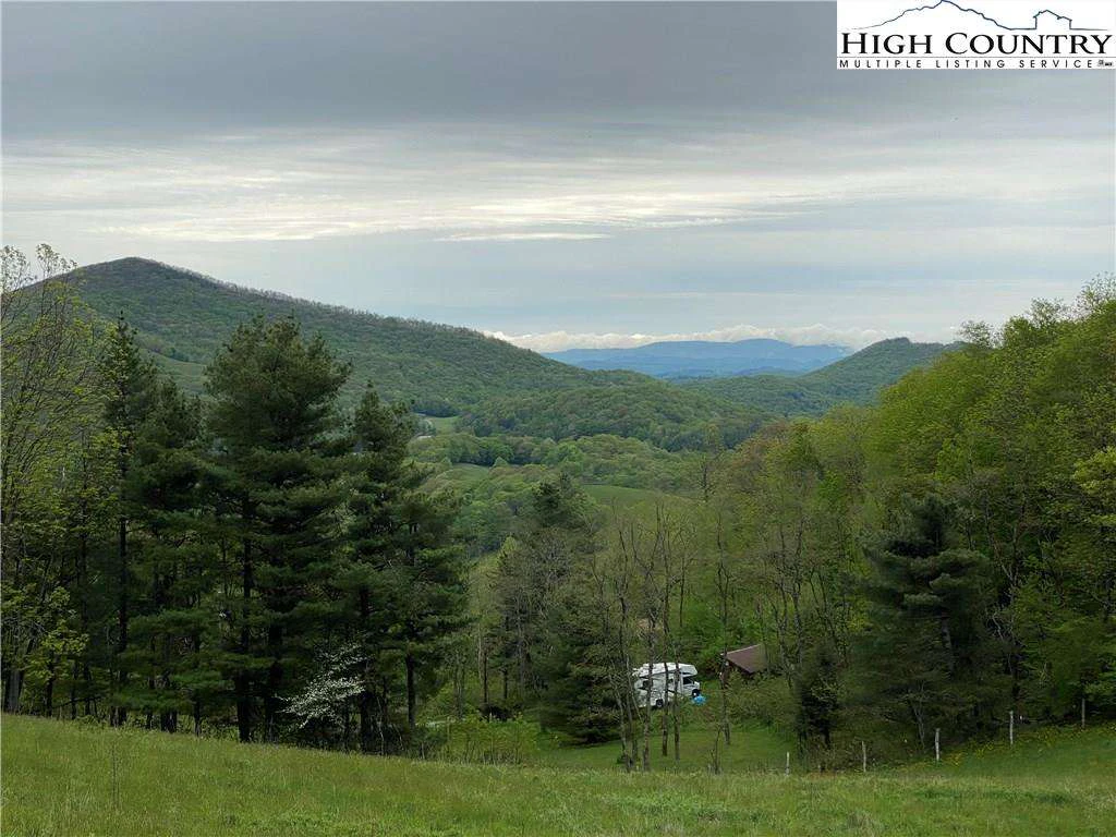Image number 11 for the current listing