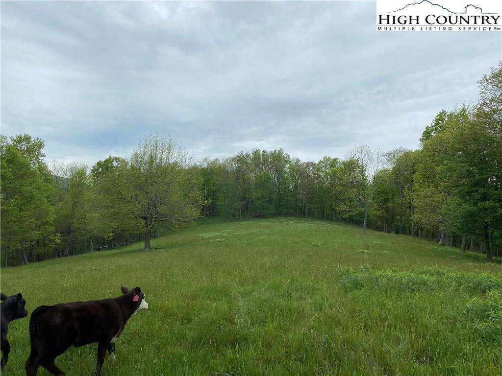 Image number 12 for the current listing