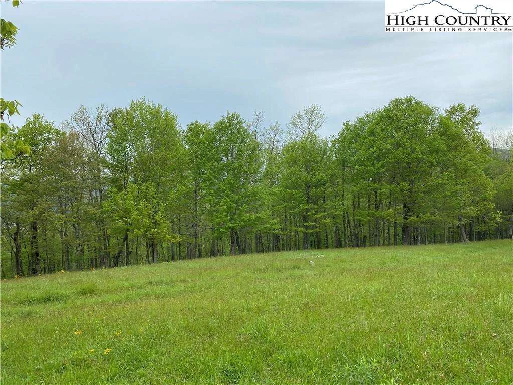 Image number 14 for the current listing
