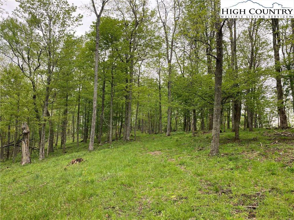 Image number 15 for the current listing