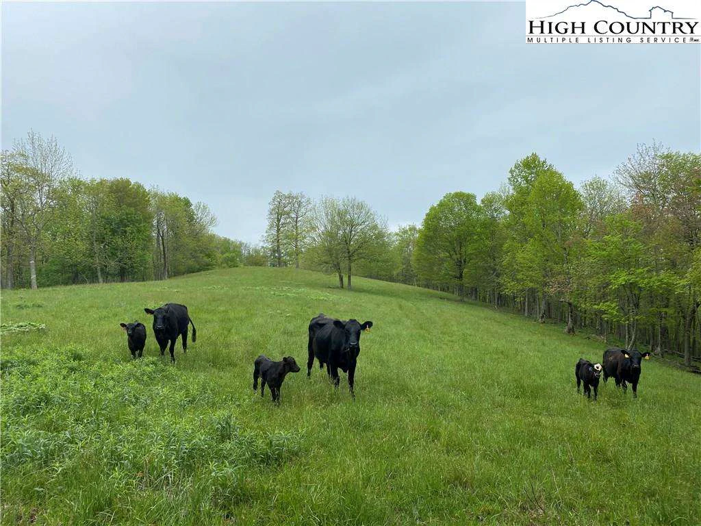 Image number 18 for the current listing