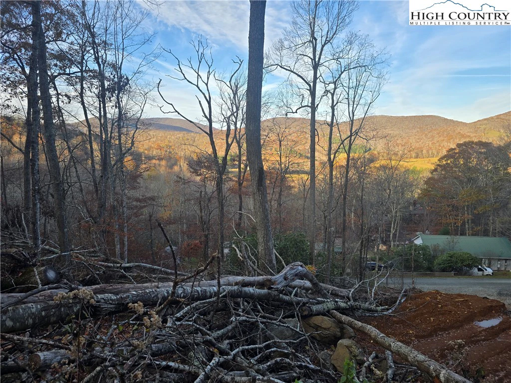 Image number 1 for the current listing