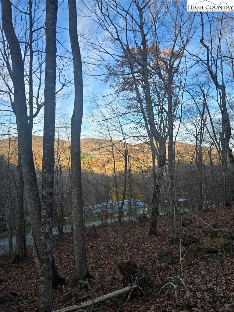 Image number 18 for the current listing