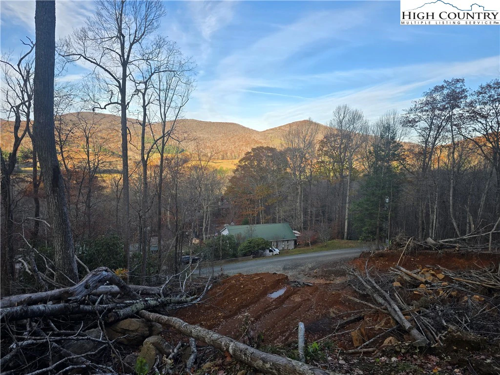 Image number 15 for the current listing