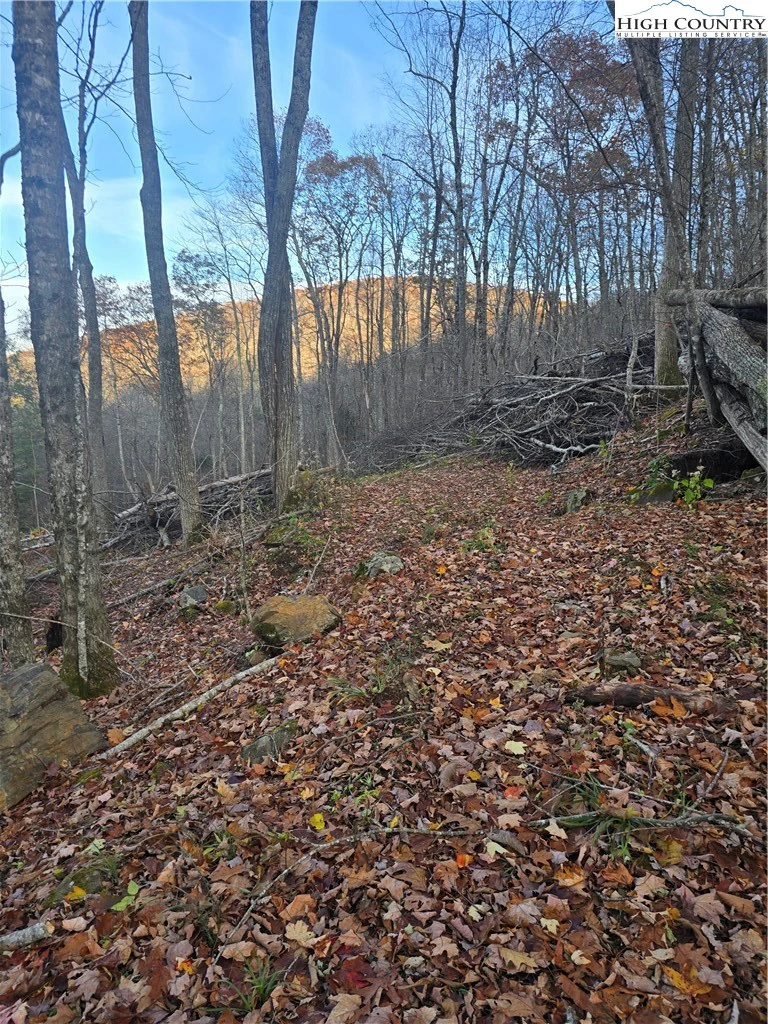 Image number 13 for the current listing