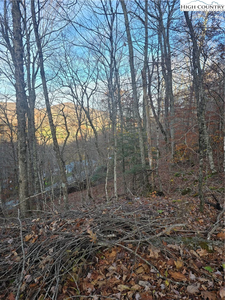 Image number 2 for the current listing