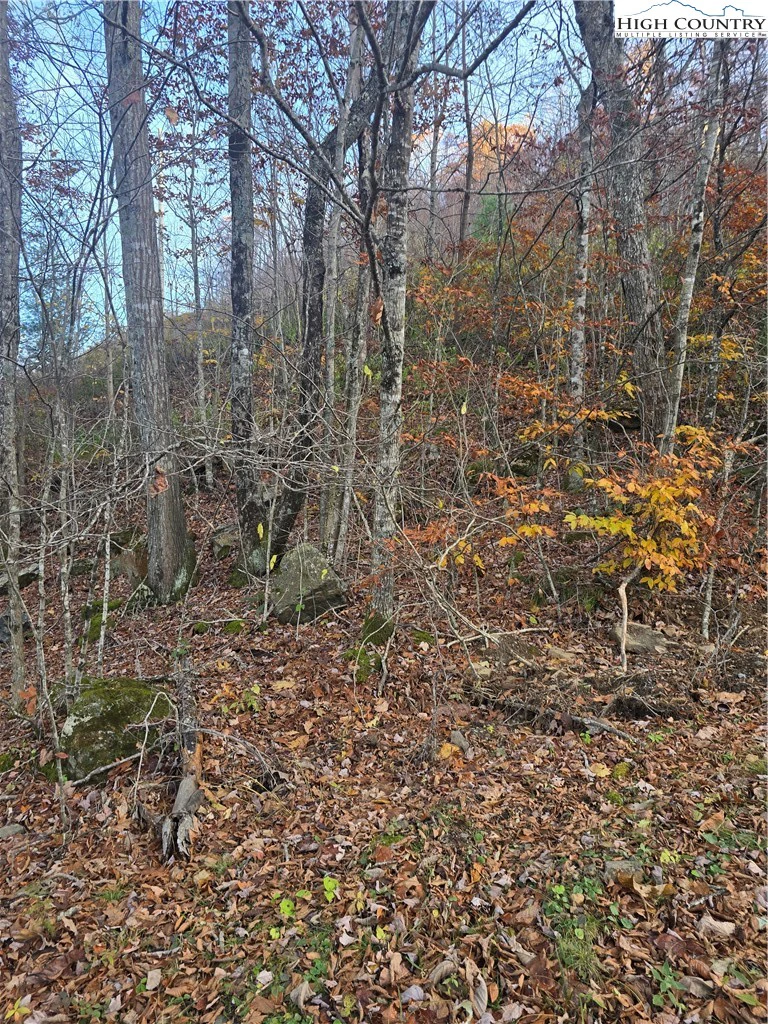 Image number 5 for the current listing