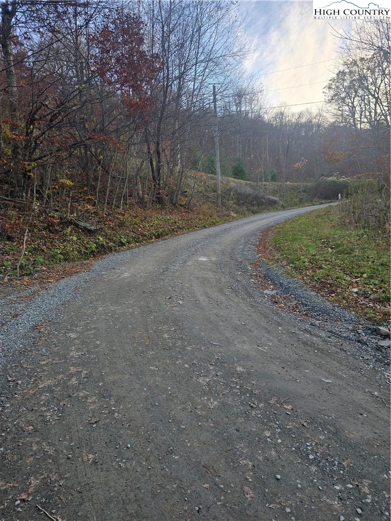 Image number 4 for the current listing