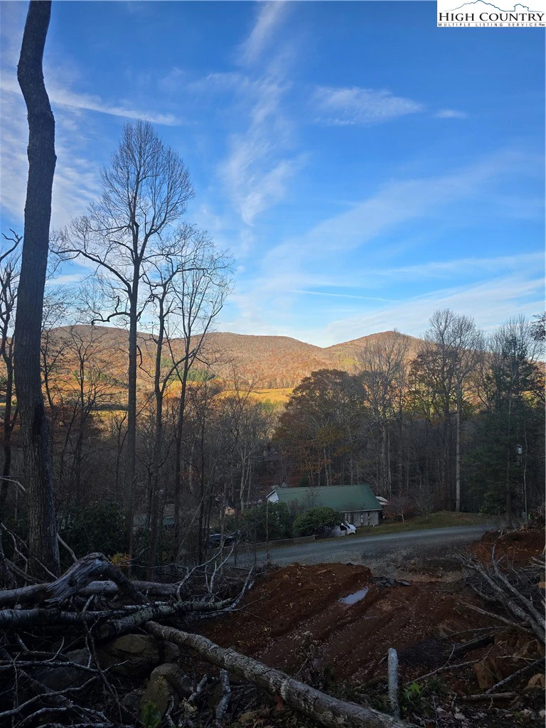Image number 3 for the current listing