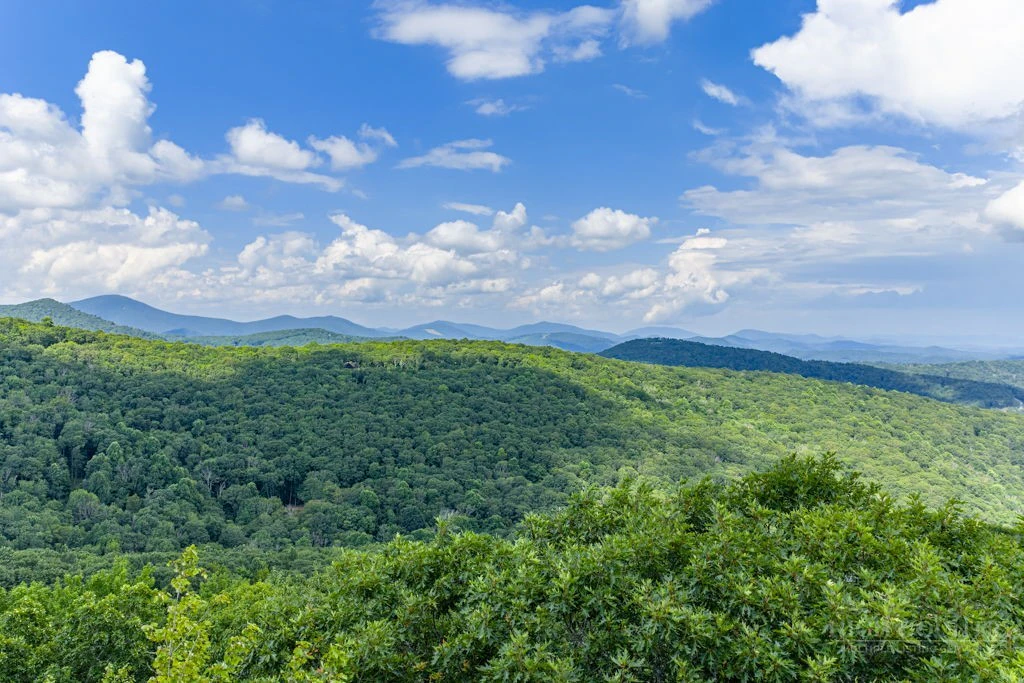 Image number 1 for the current listing