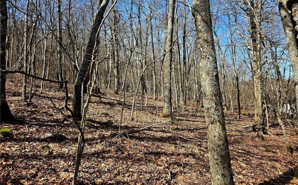 Image number 2 for the current listing