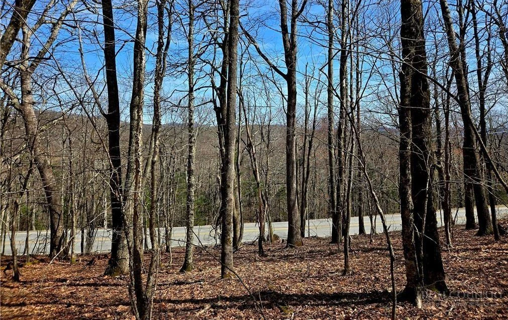 Image number 4 for the current listing