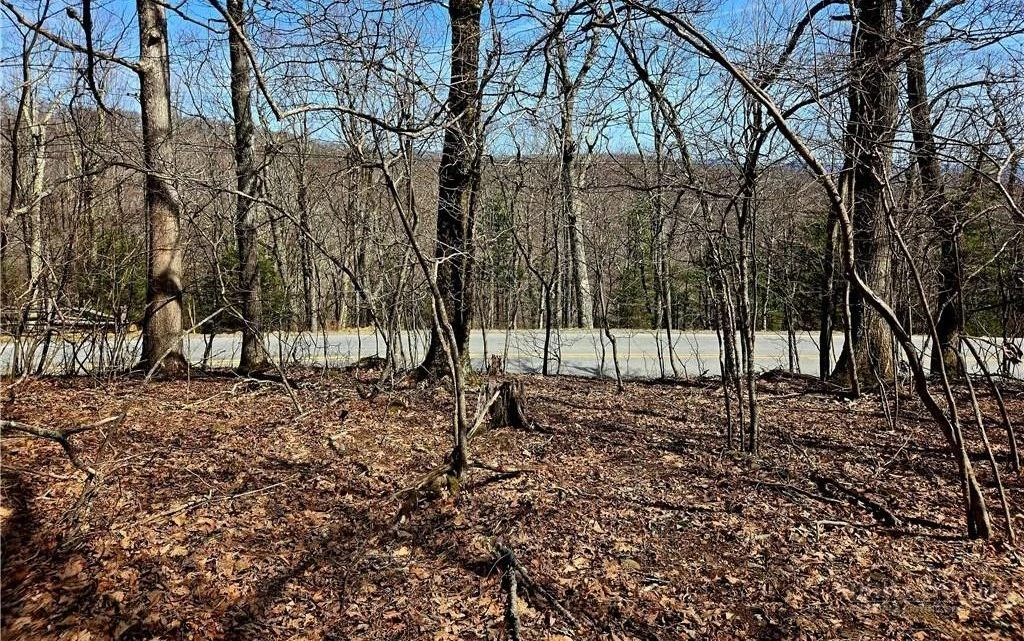 Image number 6 for the current listing
