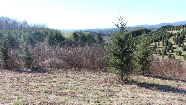 Image number 3 for the current listing