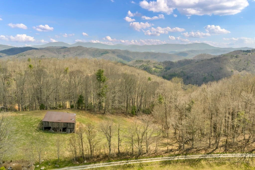 Image number 1 for the current listing