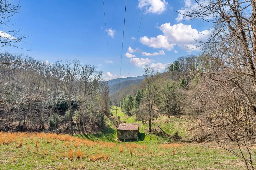 Image number 4 for the current listing