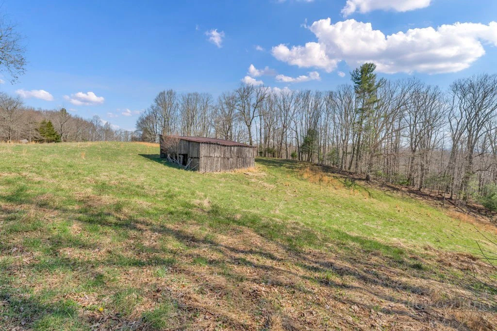 Image number 12 for the current listing
