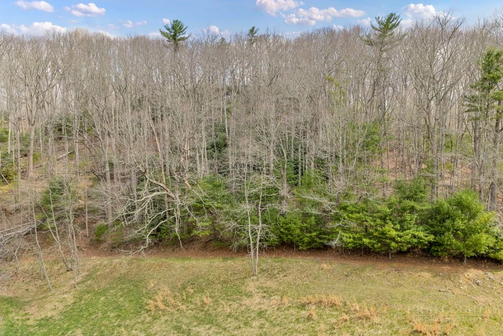 Image number 13 for the current listing