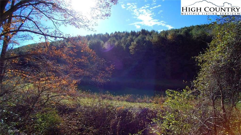 Image number 4 for the current listing
