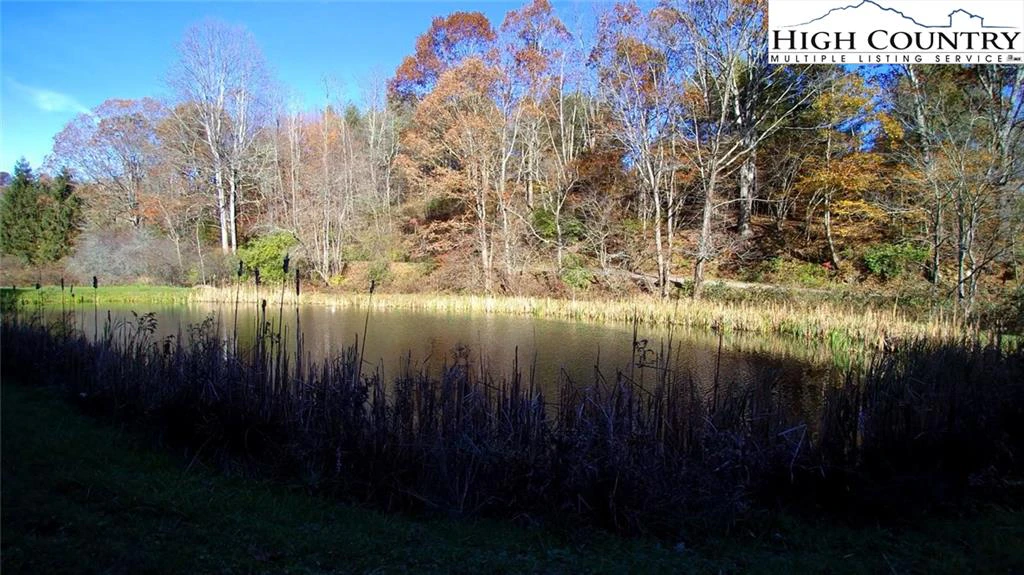 Image number 5 for the current listing