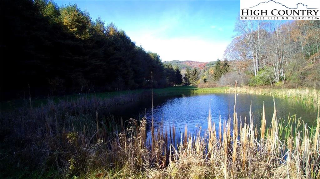 Image number 6 for the current listing