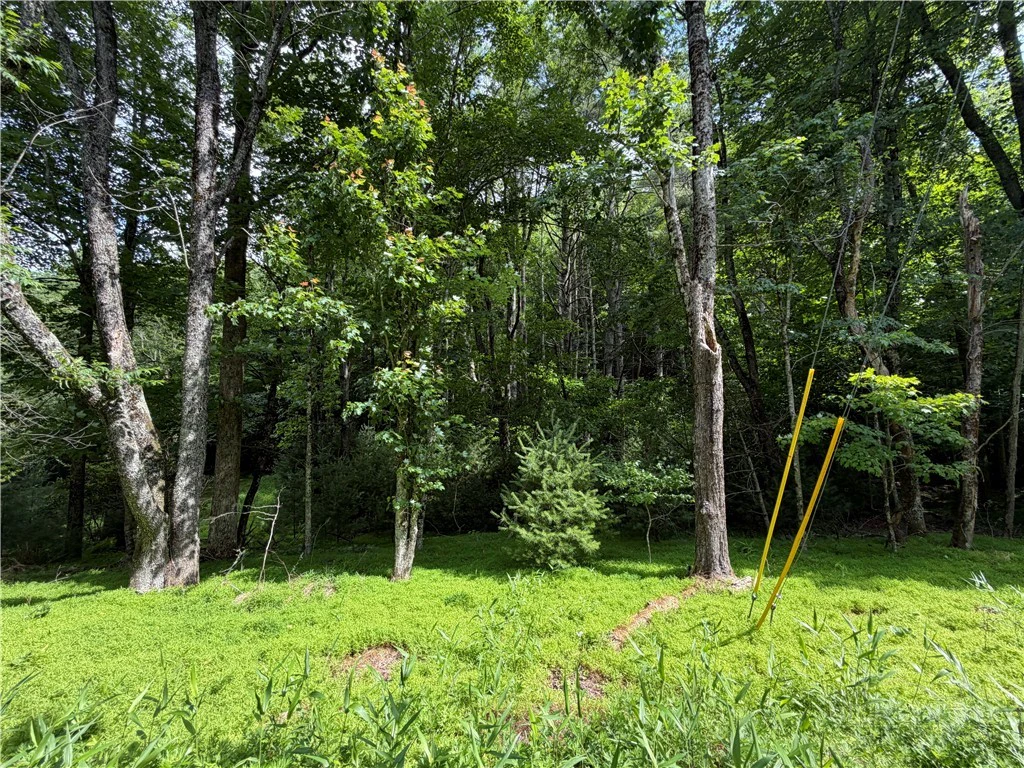 Image number 2 for the current listing