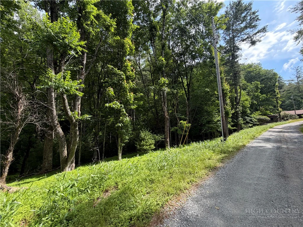 Image number 3 for the current listing