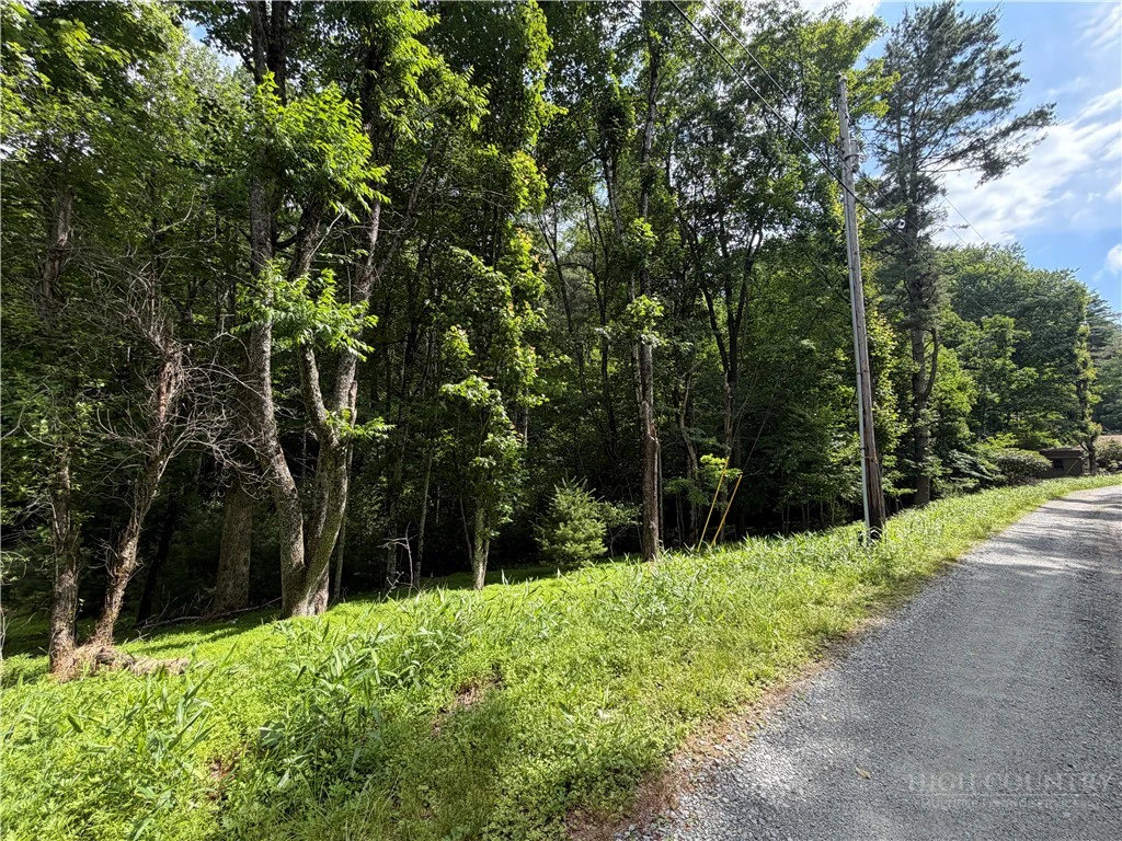 Image number 4 for the current listing