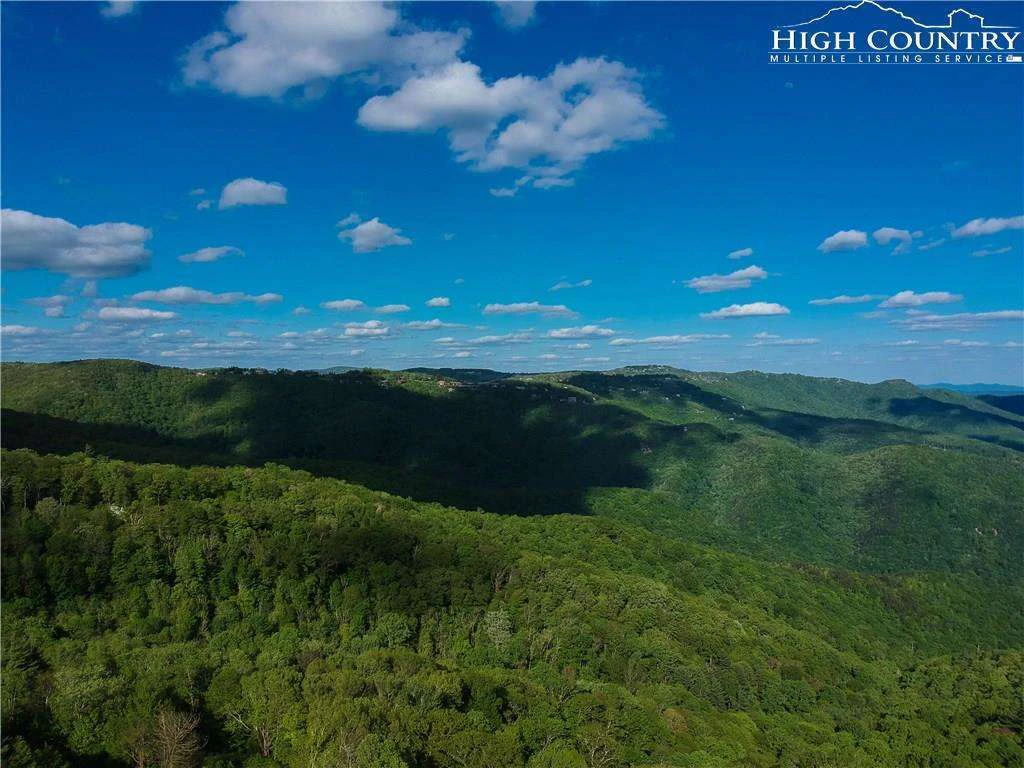 Image number 1 for the current listing