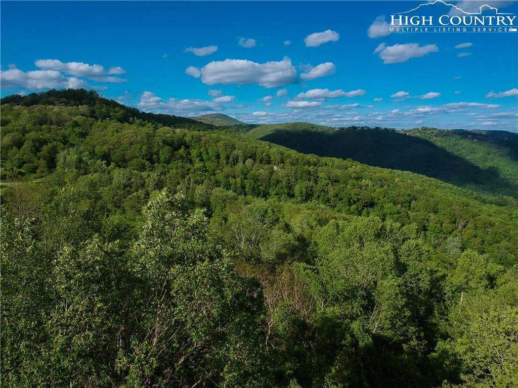 Image number 16 for the current listing