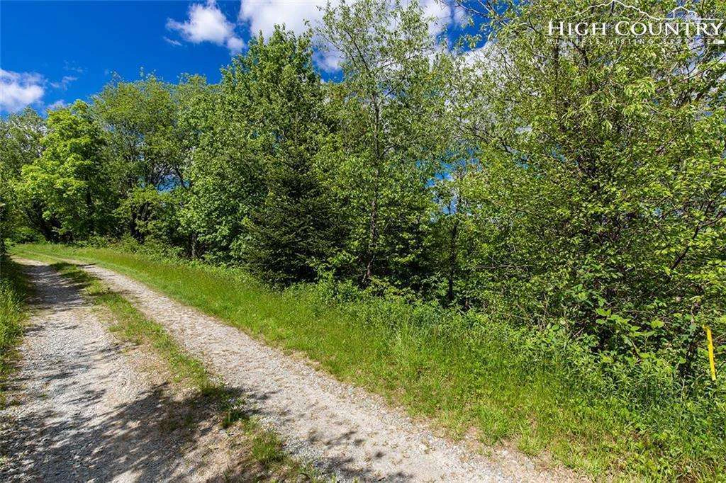 Image number 15 for the current listing