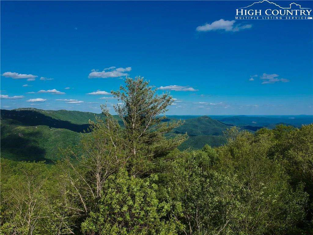 Image number 12 for the current listing