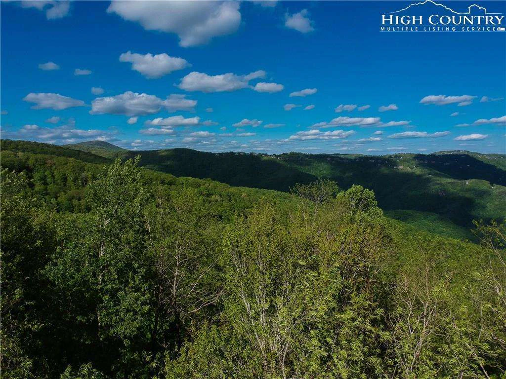 Image number 11 for the current listing