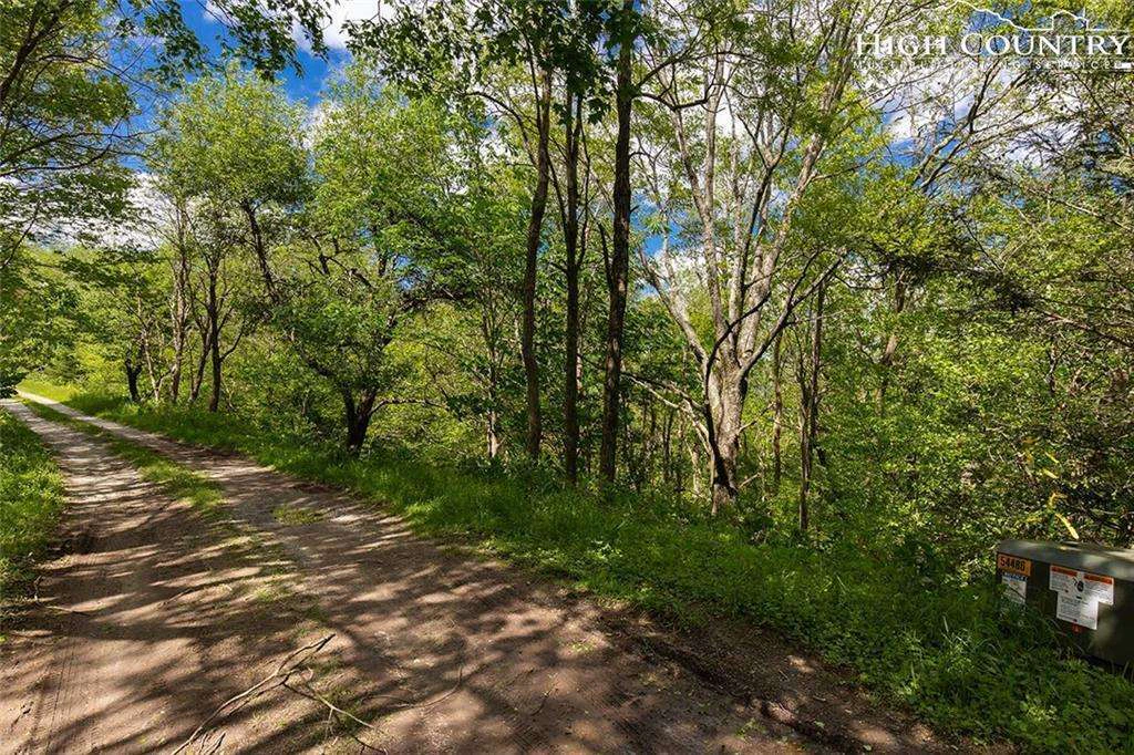 Image number 9 for the current listing