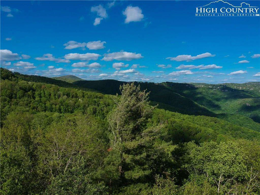 Image number 7 for the current listing