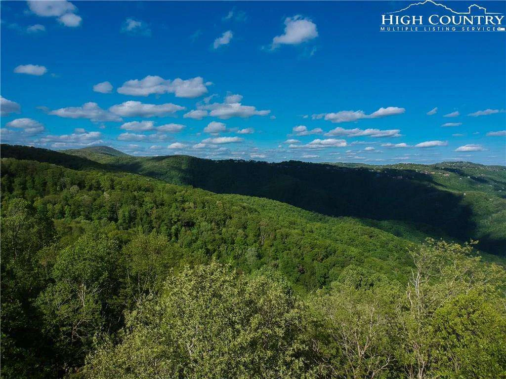 Image number 4 for the current listing