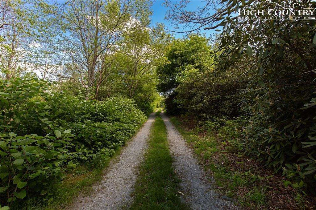 Image number 20 for the current listing